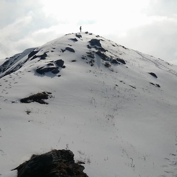 Cover Photo