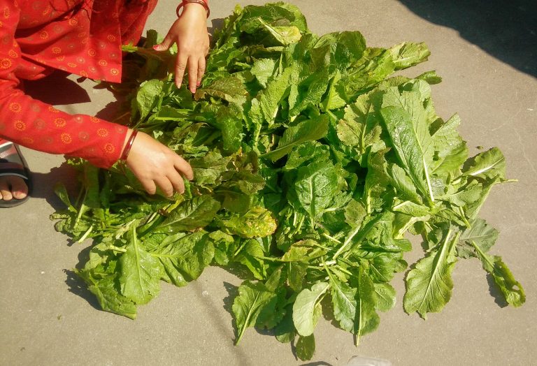 How it’s Made : Gundruk (A Nepali Food)